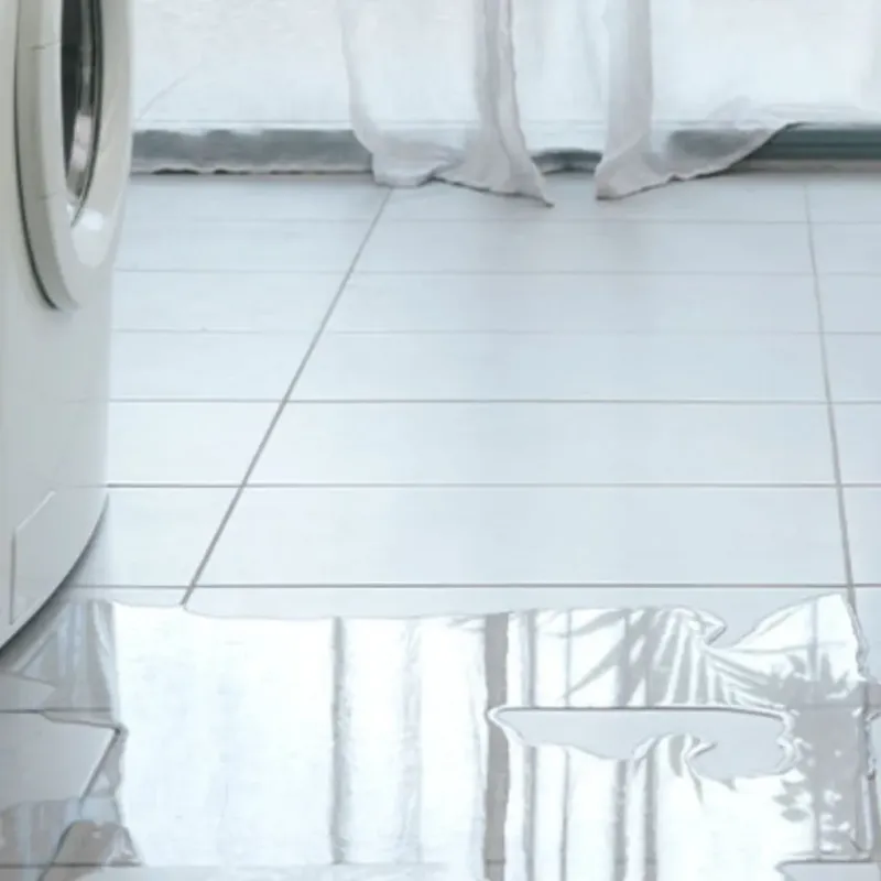 Appliance Leak Cleanup in Pleasant View, TN