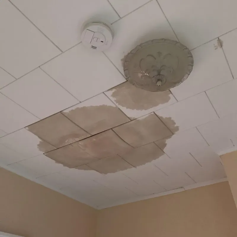 Ceiling Water Damage Repair in Pleasant View, TN