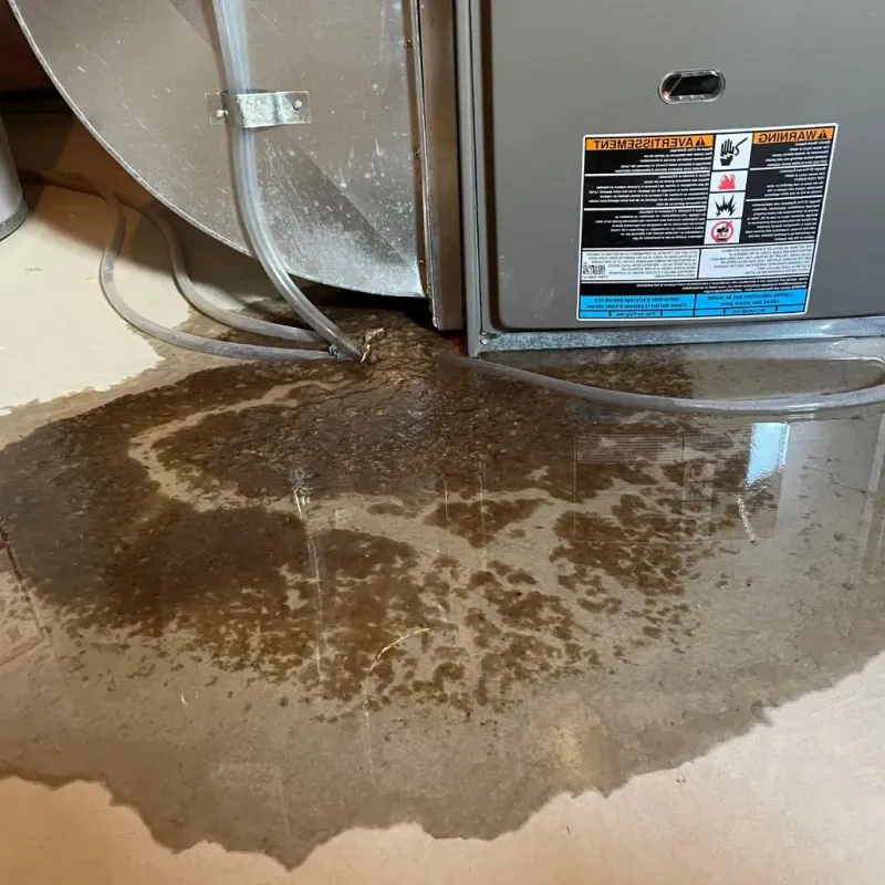 Pipe Burst and Leak Restoration in Pleasant View, TN