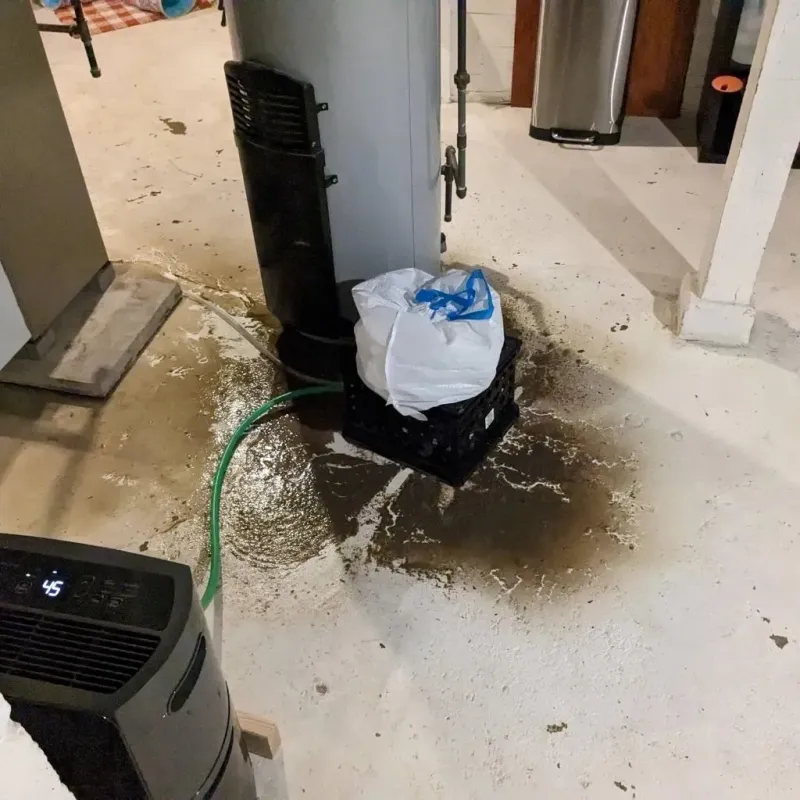 Sewage Backup Cleanup Service in Pleasant View, TN